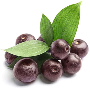 Acai Herbasol® Extract PG (PF)