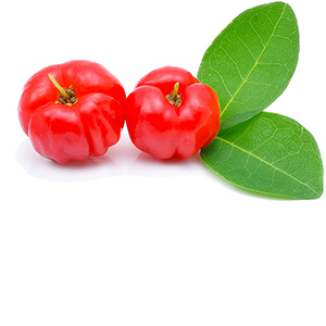 Acerola Herbasol® Extract Glycerine SB