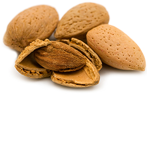 Almond organic Herbasol® Extract Glycerine unpreserved