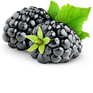Blackberry Herbasol® Vinegar