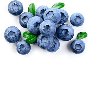 Blueberry (leaves) Herbasol® Extract Glycerine SB