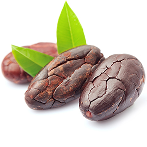 Cocoa Herbasol® Extract PG, unpreserved, system 3
