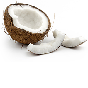 Cocos Herbasol® Extract PG, unpreserved, system 3