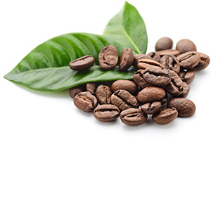 Coffee from Brazil, roasted Herbasol® Extract Glycerine SB