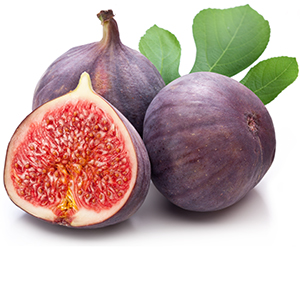 Fig Herbasol® Extract PG, unpreserved, system 3