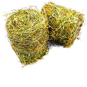 Hay Flowers Herbasol® Extract PG, unpreserved