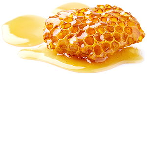 Acacia Honey COS