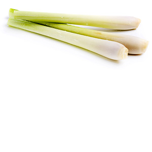 Lemongrass (Thai) Herbasol® Extract Glycerine unpreserved