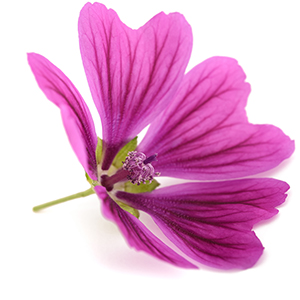 Mallow Herbasec®