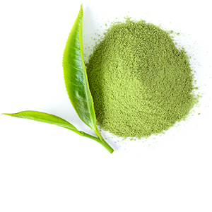 Matcha Herbasol® Extract Glycerine unpreserved