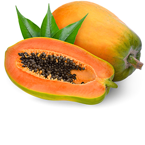 Papaya Herbasol® Extract Glycerine SB