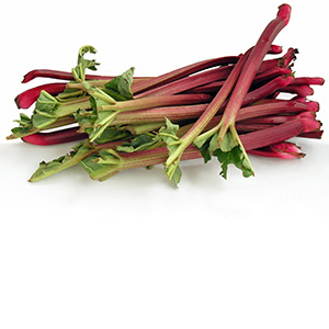 Rhubarb root Herbasol® Extract Glycerine unpreserved