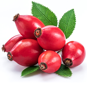 Rose-Hips Herbasol® Extract Glycerine SB
