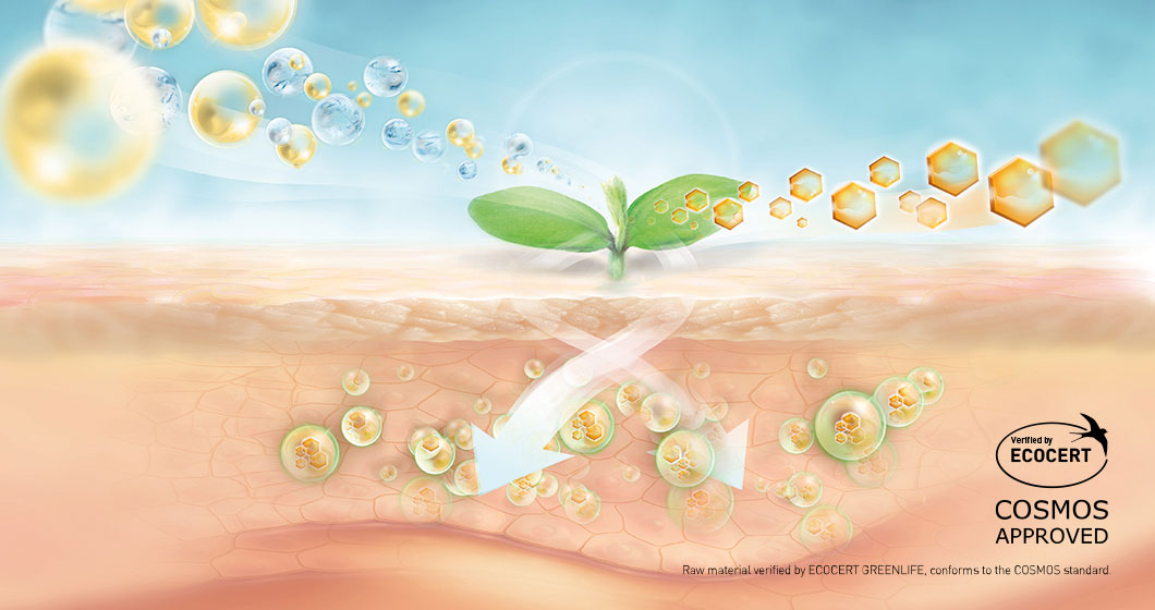 PHOSAL 40 IP unsaturated phospholipids that encapsulate lipophilic actives for enhanced skin penetration