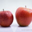 PHOSPHOLIPON 90 G, LIPOID P 100 and LIPOID H 100 based on phosphatidylcholine for skin rejuvenation