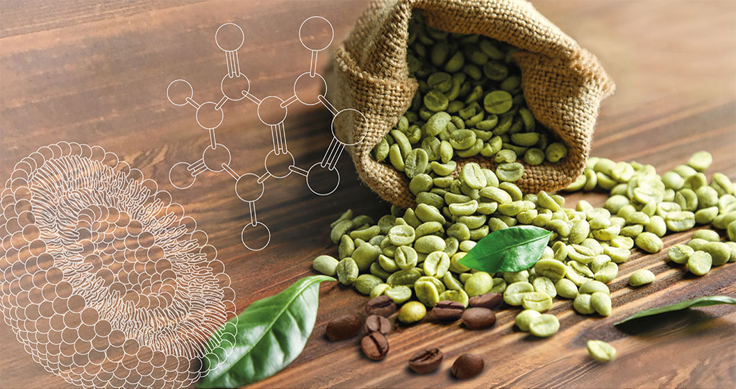 Caffeine Herbasome® – Enhancing the Cosmetic Benefits of Caffeine by Liposomal Encapsulation