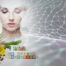 PhytoCodine an active ingredient of plant-based peptides to reprogramm skin structure