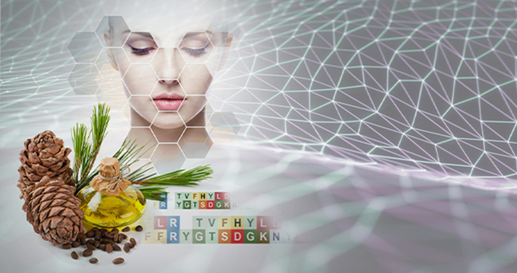 PhytoCodine an active ingredient of plant-based peptides to reprogramm skin structure