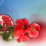 Colla-Gain an active ingredient based on pomegranate flower extract and vitamin C for anti-aging applications