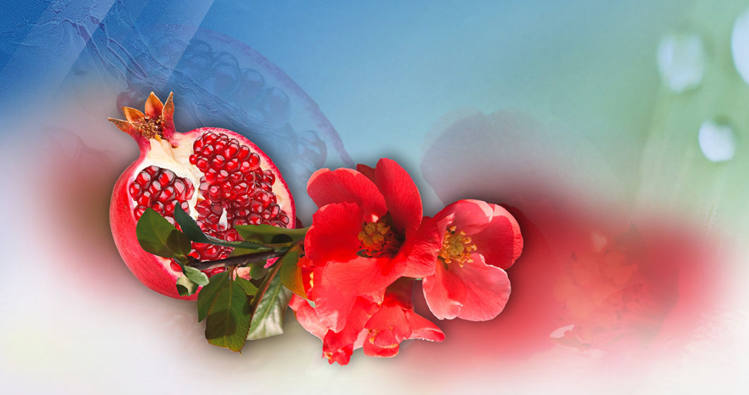 Colla-Gain an active ingredient based on pomegranate flower extract and vitamin C for anti-aging applications