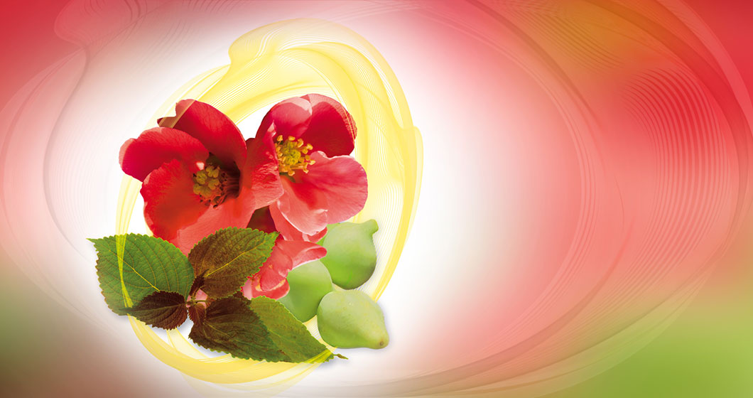 HerbaProtect® NOX an active ingredient based on pomegranate flowers, perilla leaf and kakadu plum for anti-aging applications