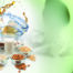 Herbamilk Eco a functional ingredient for vegan milk product concepts