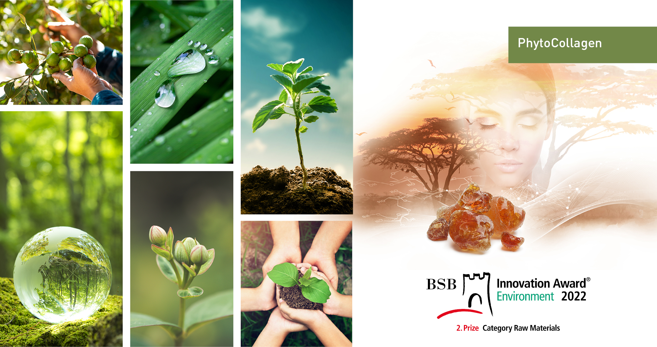 BSB Innovation Award Environment 2022 for PhytoCollagen