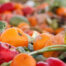 Active ingredients and extracts based on upcycled waste or by-products