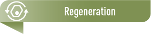 ApplicationsIcon_Regeneration300px_Green Logo Application Category Regeneration