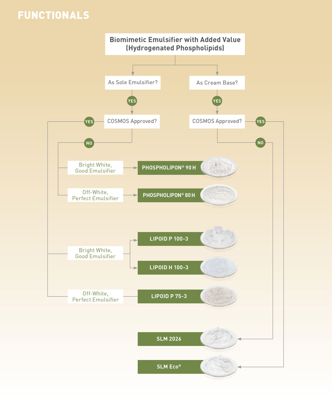 LIPOID_KOSMETIK_selector_chart_functionals Product selector chart of our phospholipids functionals