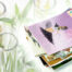 Personal Care cover article BakuLipid 2024