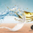 LIPOID P 75-3 powerful emusifier based on hydrogenated phospholipids