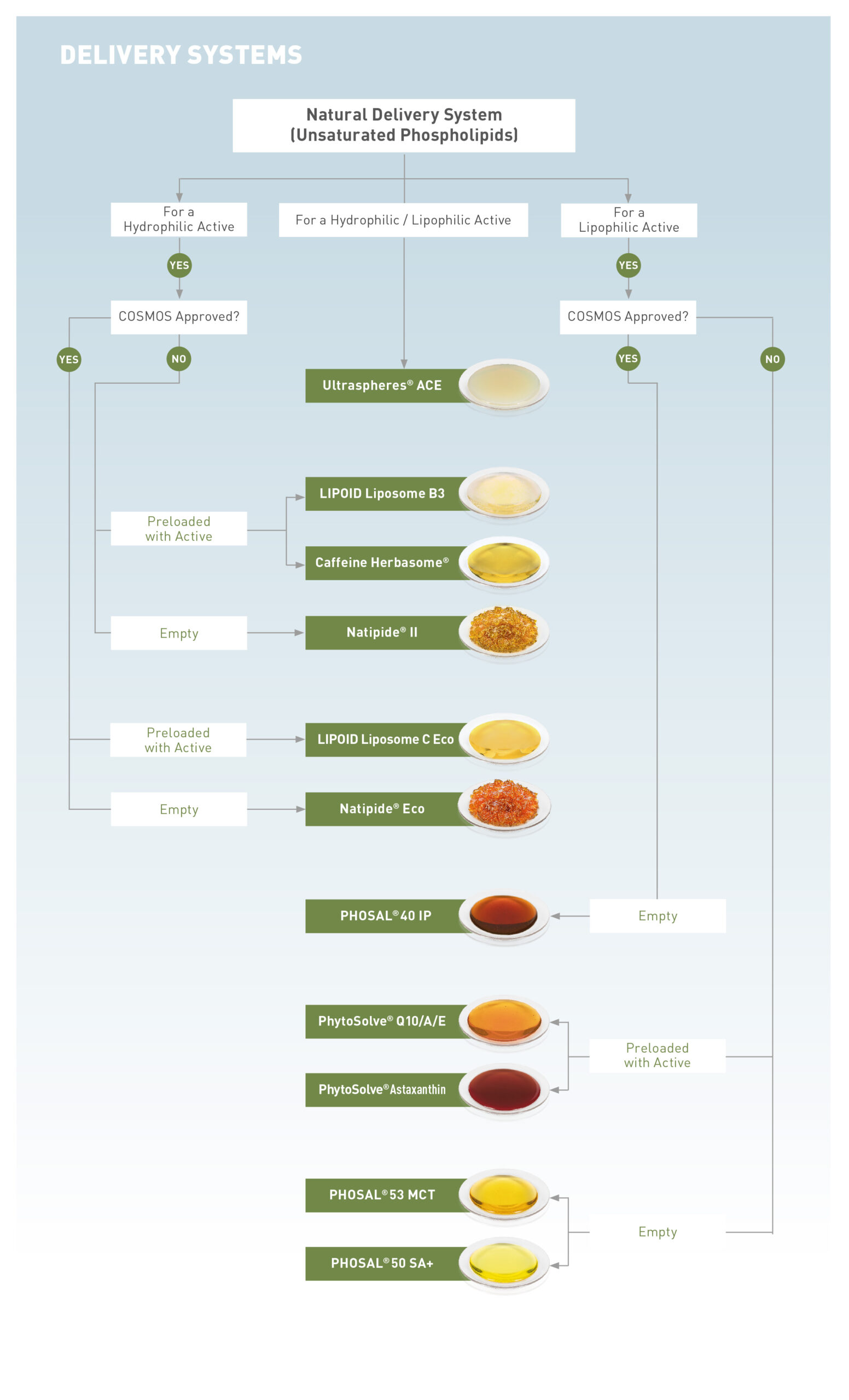 LIPOID_KOSMETIK_selector_chart_delivery_systems_final