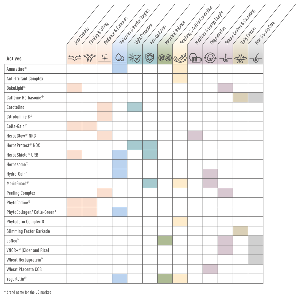 Actives_Product-Overview_2025